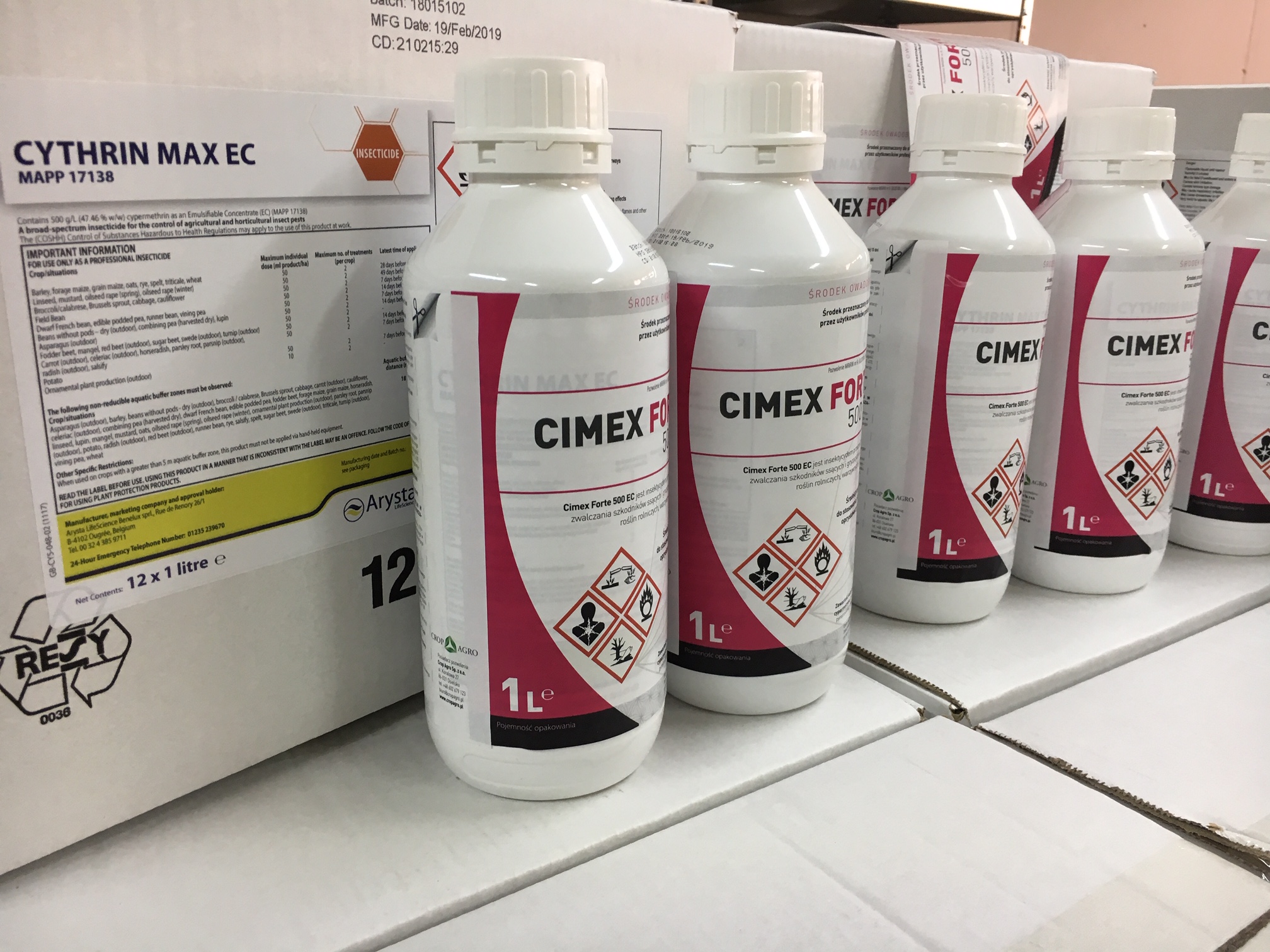 cimex 